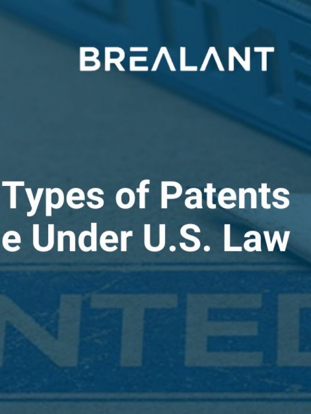 Types of Patents Available Under U.S. Law